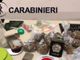 Trecate: due “venditori di morte” gambiani arrestati dall’Arma dei Carabinieri