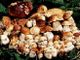 Abbiategrasso: 60enne in cerca di funghi scivola nella roggia, elitrasportato all’Humanitas