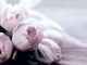 Mille occasioni di festa: ma cosa suggerisce il galateo dei fiori?