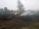 Corbetta: terreno agricolo in fiamme nella notte, è un incendio doloso