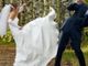 Robecco sul Naviglio: lite per il vestito della sposa, in due finiscono all’ospedale