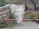 Sesia gonfia d'acqua e allagamenti nelle aree golenali