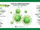 Il Coronavirus rallenta: in provincia di Pavia 59 nuovi contagi, in Lombardia 735
