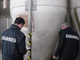 Topo morto nel silos del risone