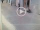 Abbiategrasso, nutria a spasso per il centro…