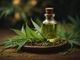 Sette cose da sapere sull’olio di CBD, l’integratore naturale del momento