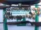 Foto e video tratti da wwf.it