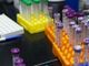 Coronavirus, i comuni con più di 35 contagi in provincia di Pavia al 26 maggio