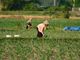 Ue: Coldiretti, stop a riso Cambogia dai produttori europei
