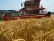 Agricoltura: 3 milioni per avvio o ricambio generazionale di 117 aziende a gestione under 40