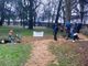 Trecate: grande successo per l’evento “Vieni a passeggiare nel magico mondo degli elfi”