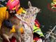 Abbiategrasso: capriolo finisce nel canale scolmatore, recuperato dai Vigili del Fuoco (VIDEO)