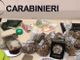 Pedinato da Novara a Milano, i carabinieri arrestano albanese 36enne con 1 chilo di eroina