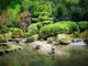 Come creare un'oasi tranquilla nel proprio giardino
