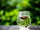 Il mio mondo #ecobio- The verde e cosmesi, di Cristina Garavaglia
