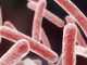 Testata su interventi cardiochirurgici complessi una tecnologia innovativa che elimina il rischio di infezione da mycobacterium chimaera