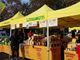 Vigevano: domenica riparte &quot;Campagna Amica&quot;