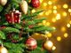 Dpcm: Coldiretti, 24mila agriturismi ko a Natale in piccoli comuni stop spostamenti in campagna favorisce assembramenti in città