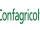 Confagricoltura Pavia celebra la giornata dell’ambiente mettendo online il nuovo sito www.confagricolturapavia.it.