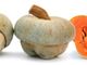 Dorno: e' tutto pronto per la 14° edizione della sagra della zucca Bertagnina