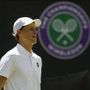 Wimbledon, il programma di oggi: da Sinner a Sonego, italiani in campo e dove vederli