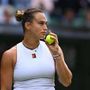 Wimbledon 2025: da Alcaraz e Sabalenka agli italiani, i match di oggi - La diretta
