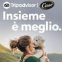 Vacanze, quasi la metà italiani rinuncia a viaggiare con il proprio cane