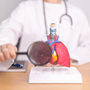 Fibrosi cistica, Aifa rinnova e amplia anche a bimbi rimborsabilità trattamenti