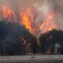 Francia e Spagna in ginocchio per gli incendi, Macron schiera l'esercito Francia e Spagna in ginocchio per gli incendi, Macron schiera l'esercito