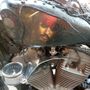 Milano, una Harley Davidson “da pirata” realizzata per Johnny Depp
