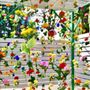 San Martino Siccomario, da sabato 18 aprile torna il villaggio dei fiori "Springmania"