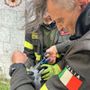 Vidigulfo, piccione intrappolato in un filo da pesca: i Vigili del fuoco intervengono e lo liberano