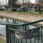 Castano: sedicenne si tuffa nel Villoresi e salva un ragazzino in difficoltà Castano: sedicenne si tuffa nel Villoresi e salva un ragazzino in difficoltà