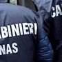 Controlli ad Abbiategrasso di Carabinieri e Nas: 50 identificati, 3 denunciati, 2 pub sanzionati
