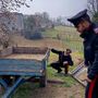 Oltrepò, denunciato dai Carabinieri per furto aggravato e ricettazione