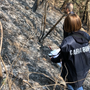 Oltrepò, incendio boschivi in Alta Valle Staffora: denunciato un 69enne Oltrepò, incendio boschivi in Alta Valle Staffora: denunciato un 69enne