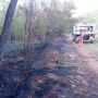 Vigevano, incendio nell’area della Buccella: fiamme domate grazie al rapido intervento dei volontari AIB del Parco Ticino Vigevano, incendio nell’area della Buccella: fiamme domate grazie al rapido intervento dei volontari AIB del Parco Ticino