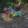 Boffalora: ancora rifiuti sulla spiaggetta del Ticino, oasi naturale o discarica a cielo aperto? Boffalora: ancora rifiuti sulla spiaggetta del Ticino, oasi naturale o discarica a cielo aperto?