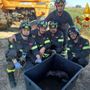 Bressana, I Vigili del fuoco salvano un esemplare di volpe bloccata dentro a una vasca di liquami Bressana, I Vigili del fuoco salvano un esemplare di volpe bloccata dentro a una vasca di liquami
