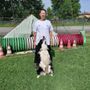 Orgoglio di Costanza: Antonella Signorelli e Shine conquistan l'8° posto agli Europei di Dog Dance a Karlskrona Orgoglio di Costanza: Antonella Signorelli e Shine conquistan l'8° posto agli Europei di Dog Dance a Karlskrona