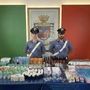 Cameri, razzia di cosmetici al Famila: due arresti e 7.600 euro di refurtiva Cameri, razzia di cosmetici al Famila: due arresti e 7.600 euro di refurtiva