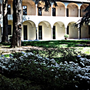 Vigevano, sabato 7 novembre la prima giornata del “Belsentire” Vigevano, sabato 7 novembre la prima giornata del “Belsentire”