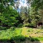 Riapre il giardino botanico di Pietra Corva