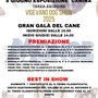3° edizione del &quot;Vigevano Dog Show&quot;