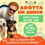 &quot;Adotta una amico&quot;, a Tornaco l'evento di &quot;Animaleale ODV&quot;