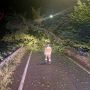 Maltempo Lombardia, oltre 500 interventi svolti dalla notte