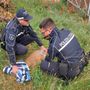Gambolò: capriolo cade in un canale salvato dalla Polizia locale
