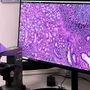 Progetto Pnrr anatomia patologica digitale: ASST Pavia installa i nuovi scanner per vetrini istologici negli ospedali di Vigevano e Voghera
