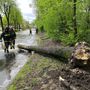 Allerta rossa per il Ticino: volontari del Parco in azione