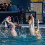 Pallanuoto: ancora vittorie per le squadre dell'H2Sport Vigevano